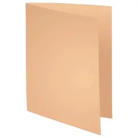 250 Sous-chemises FIDUCIAL 22x31cm- Pastel- 60g 