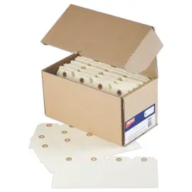 1000 &Eacute;tiquettes am&eacute;ricaines &agrave; &oelig;illet 120 x 57 mm 