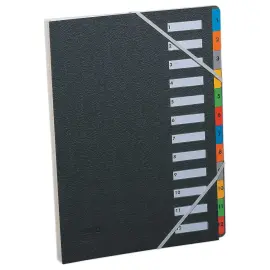 Trieur &agrave; &eacute;lastiques couverture grain&eacute;e noire - 12 onglets - Extendos 