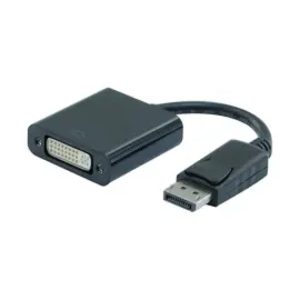 Adaptateur DisplayPort vers DVI - 20 CM 