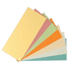 100 Intercalaire Rectangulaire Carte 