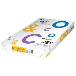 Ramette de 500 feuilles de papier blanc -  A3 - 80G - TEXT AND GRAPHICS 