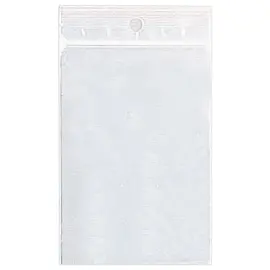 1000 Sachets plastique transparents 220 x 280 mm 