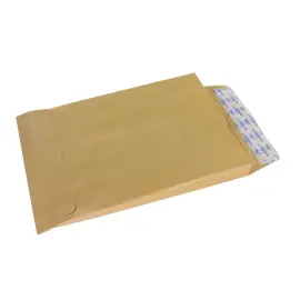 250 Pochettes kraft 120g - grand format type radio  - 280x400mm - GPV PREMIER 