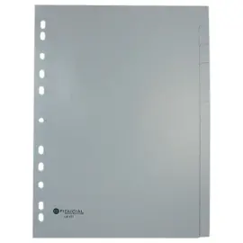 Jeu d'intercalaires - polypropyl&egrave;ne souple - 12 touches - FIDUCIAL 