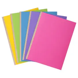 10 Chemises dos toil&eacute; - 24 x 32 cm - EXACOMPTA 