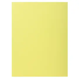 100 Chemises 1 rabat 160 g carte qualit&eacute; sup&eacute;rieure PEFC - couleurs pastel 