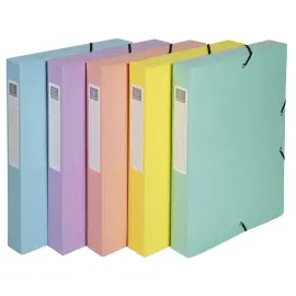 Bo&icirc;te de classement A4 - Dos 60mm  - Couleurs assorties - EXACOMPTA 
