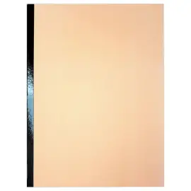 10 Chemises dos renforc&eacute; large - Soufflet 3 cm - Carte 300g - bulle - ACCESS 
