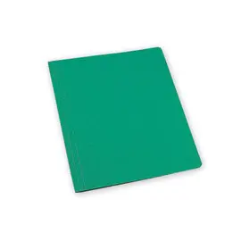 Chemise simple dos rain&eacute; - Vert - EXACOMPTA 