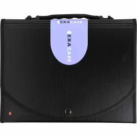 Trieur valisette Exacase - 13 compartiments - EXACOMPTA 