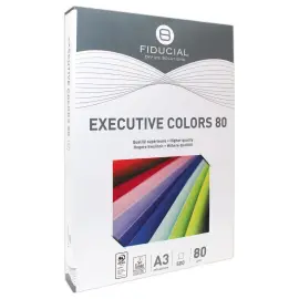 Ramette de 500 feuilles papier couleurs pastel A3 Executive Colors - Bulle - FIDUCIAL 