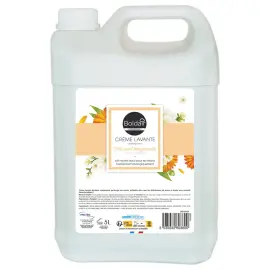 Bidon de savon BOLDAIR parfum Th&eacute; vertBergamote -5L 