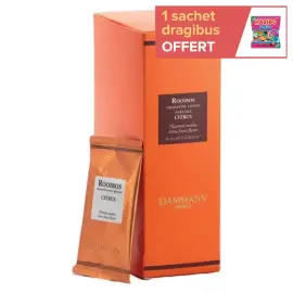 Th&eacute; Rooibos Citrus &ndash; DAMMANN 