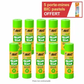 10 B&acirc;tons de colle ECOlutions - 8 g - BIC 
