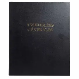 Reliure registre &eacute;conomique 32x26cm 4 anneaux - Assembl&eacute;es g&eacute;n&eacute;rales - EXACOMPTA 