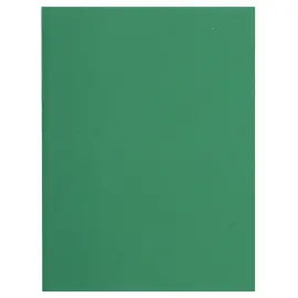 Paquet de 100 sous-chemises FLASH 80 100% recycl&eacute; - 22x31cm - Vert - EXACOMPTA 