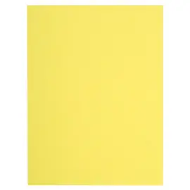 Paquet de 100 chemises FLASH 220 100% recycl&eacute; - 24x32cm - Canari - EXACOMPTA 