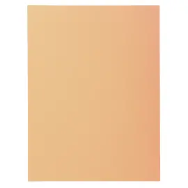 Paquet 100 chemises SUPER 160 - 24x32cm - Bulle - EXACOMPTA 
