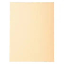 Paquet de 100 chemises Forever&reg; 220 100% recycl&eacute; - 24x32cm - Bulle - EXACOMPTA 