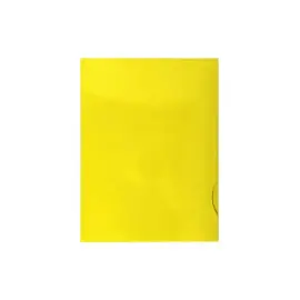 Bo&icirc;te de 20 chemises de pr&eacute;sentation carte brillante 250g Chromolux - A4 - Jaune - EXACOMPTA 