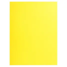 Paquet de 25 chemises Double Poche ROCK''S 210 - double A4 ou A3 - 24x32cm - Jaune citron - EXACOMPTA 