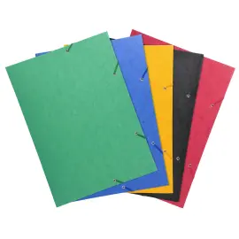 Chemise &agrave; &eacute;lastique 3 rabats carte lustr&eacute;e 600gm&sup2; - A3 - Couleurs assorties - EXACOMPTA 