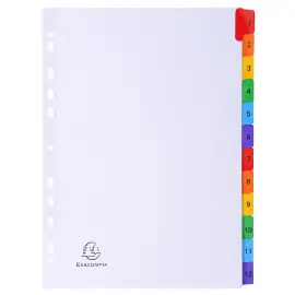 Intercalaires Imprim&eacute;s num&eacute;riques carte blanche 160g- 12 positions - A4 - Blanc - EXACOMPTA 