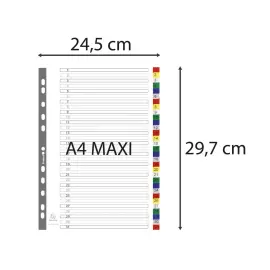 Intercalaires imprim&eacute;s num&eacute;riques PP couleurs 12/100e - 31 positions - A4+ - Assorties vives - EXACOMPTA 