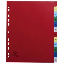 Intercalaires imprim&eacute;s mensuel PP couleurs 12/100e - 12 positions - A4+ - Assorties vives - Exacompta 