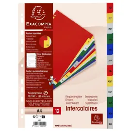 Intercalaires imprim&eacute;s mensuels PP couleurs Janv-D&eacute;cembre - A4 - Exacompta 