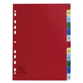 Intercalaires imprim&eacute;s num&eacute;riques polypropyl&egrave;ne 12/100e - 12 positions - A4 - Assorties vives - Exacompta 