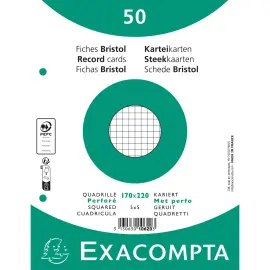 Paquet 50 fiches sous film - bristol quadrill&eacute; 5x5 perfor&eacute; 170x220mm - Blanc - EXACOMPTA 