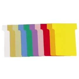 Carton de 10 &eacute;tuis de 100 fiches en T n&deg;2 - L60 x H85 x l48 x h15 mm - Couleurs assorties - EXACOMPTA 