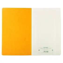 Piq&ucirc;re 32x19,5cm Journal de caisse ou banque 5 d&eacute;bits - 5 cr&eacute;dits 31 lignes 80 pages - EXACOMPTA 