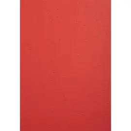 Paquet de 100 couvertures Grain cuir pour reliure A4 - Rouge EVER - EXACOMPTA 