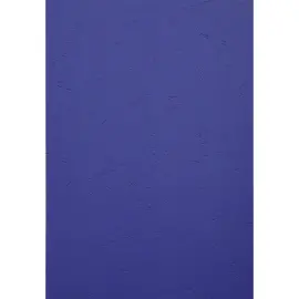 Paquet de 100 couvertures Grain cuir pour reliure A4 - Bleu fonc&eacute; - EXACOMPTA 