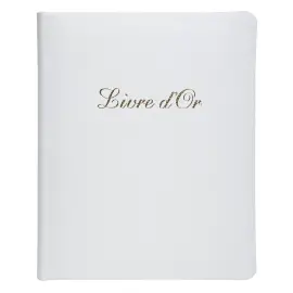 Livre d'or Cuir Alpille 140 pages ivoire - 26x22cm vertical - Blanc - EXACOMPTA 