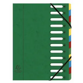 Trieur HARMONIKA&reg; &agrave; fen&ecirc;tres avec &eacute;lastiques v&eacute;ritable carte lustr&eacute;e 12 compartiments - Vert - EXACOMPTA 