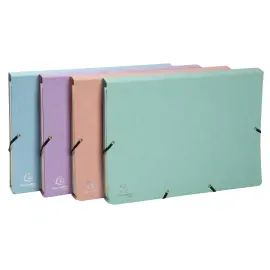 Trieur avec &eacute;lastiques - 12 compartiments- 34 x 24,5 cm - Coloris pastel - EXACOMPTA 