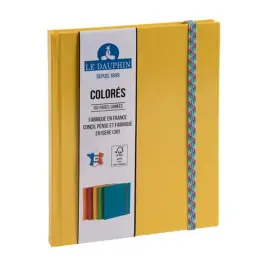 REG IDERAMA 220x170 192P LIGNE JAUNE FSC&reg; 
