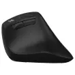 Souris sans fil rechargeable verticale ERGO INFINITE