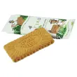 Boîte de Spéculoos - PURO