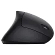 Souris sans fil ergonomique VERTO - Noir 