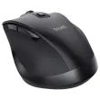 Souris sans fil FYDA rechargeable - Noir