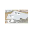 100 Etiquettes blanches multi-usages - 210x297mm - AVERY