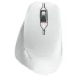 Souris ergonomique Stream Mouse Confort - Sans fil - Blanc