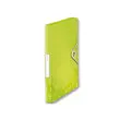 Boîte de classement plastique WOW - Vert - LEITZ