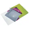 Boîte de classement plastique WOW - Vert - LEITZ