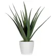 Plante artificielle Aloe vera - H 45 cm